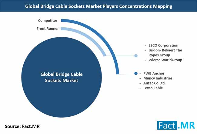 jumper wire plugs mapping market player concentrations