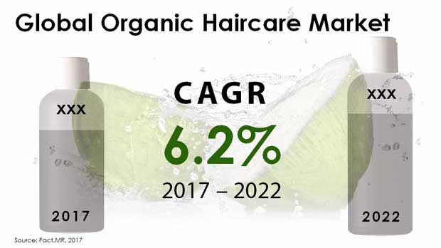 organic hair care products