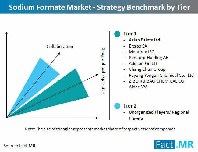 sodium formate market strategy benchmark by tier