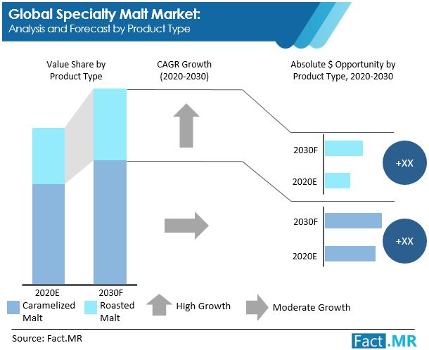 specialty malt market analysis and forecast by product type